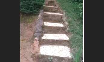 Imagem 6: Chácara em Tapiraí com rio no fundo e duas casas