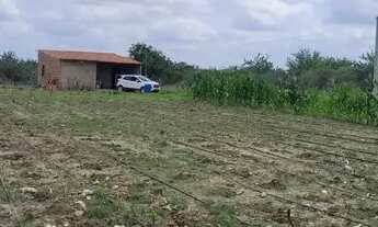 Imagem 3: Vendo roça na Carnaiba do Sertão