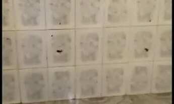 Imagem 4: Alugo kitnet em Guadalupe