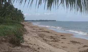 Imagem 4: Terreno na ilha em Berlink