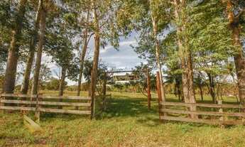 Imagem: Chácara próxima a Capital