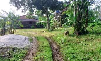 Imagem 6: Sitio rural 300x500m