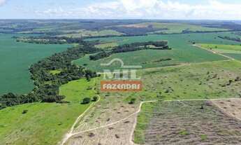 Imagem 5: Fazenda de 41 alqueires (200 hectares) em Abadiânia-GO