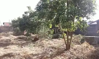 Imagem: Terreno - Bosque das Palmeiras - Campinas