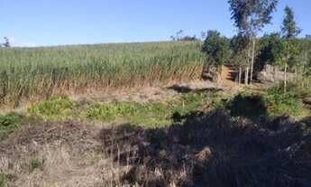 Imagem 4: Sítio 19 alqueires São Miguel Arcanjo