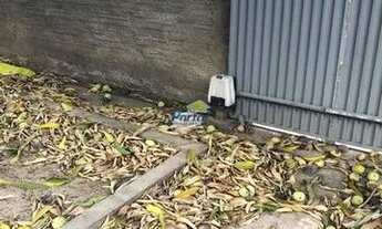 Imagem 4: Casa 3 quartos para Locação Uruguai , Teresina