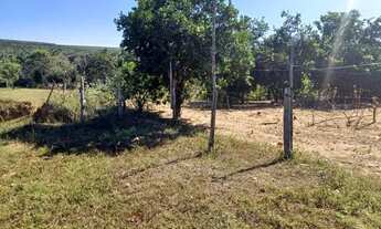 Imagem 3: Chácara em Aurilândia