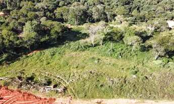 Imagem 5: Terreno 100% plaino com excelente topografia no interior de SP