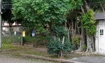 Imagem 4: Porto Alegre - Terreno Padrão - Ipanema