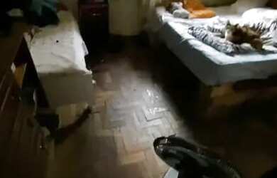 Imagem 7: Casa eldorado 4qts