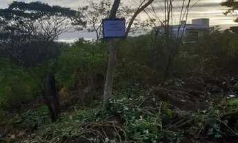 Imagem: Vendo terreno em parobe