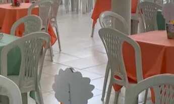 Imagem 5: Locadora Alugue fest