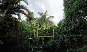 Imagem 4: São Paulo - Casa Padrão - Jardim América