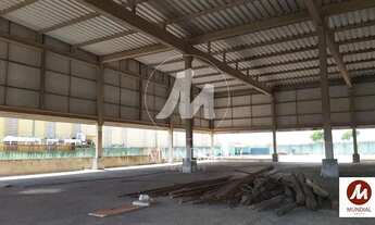 Imagem 4: Salão/Galpão (salão - térreo