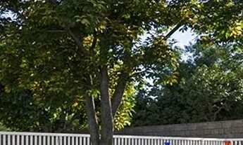 Imagem 5: Belo Rio Mais Viver-: Bairro Soledade