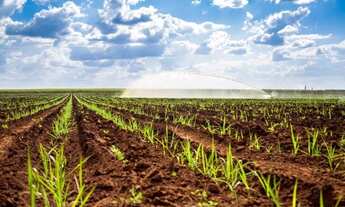 Imagem 3: Fazenda de 58 alqueires em Acreúna-Go