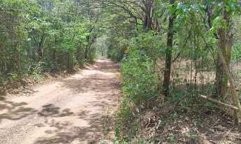 Imagem: Ótimo terreno 9000m2