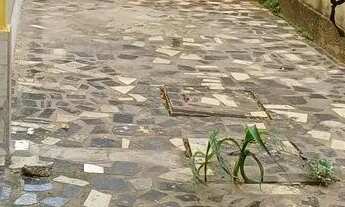 Imagem 2: Temporada ate 3 meses