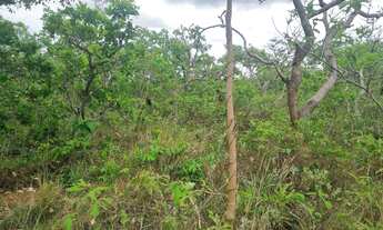 Imagem 7: Fazenda 2.750 hectares valor 8.250.000