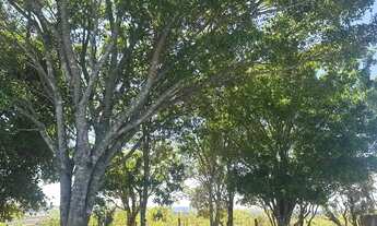 Imagem 5: Natureza e tranquilidade em Ibiúna por R$29.999