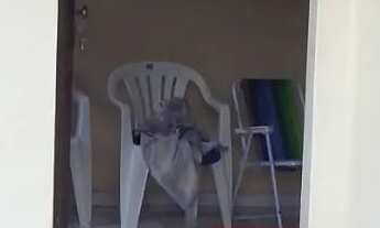 Imagem 2: Oportunidade Única!!!Vendo Casa no Mosqueiro, Belém/Pa