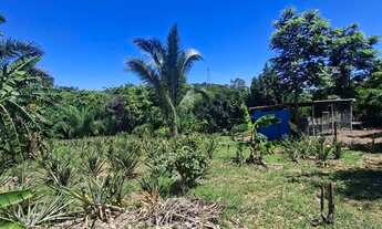 Imagem 5: Vendo Chacara Chácara com venda por R$220.000