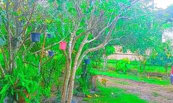 Imagem 3: Mini Sitio Na Colonia Monte Bonito