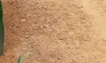 Imagem 7: CASA A VENDA Casa com 2 dormitórios