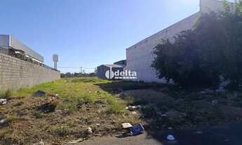 Imagem 2: Terreno disponível para venda no bairro Novo Mundo em Uberlândia-MG