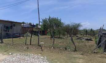 Imagem 4: Terreno na taiçoca de fora
