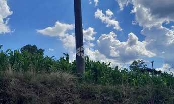 Imagem 3: Terreno em Tuiuty