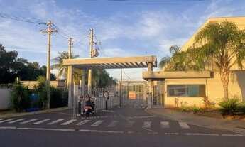 Imagem: Oportunidade Única em RIBEIRAO PRETO