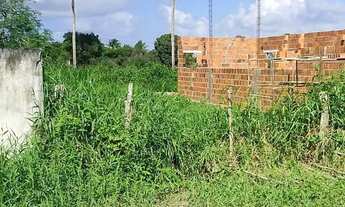 Imagem 2: Terreno no povoado Sapé (Itaporanga