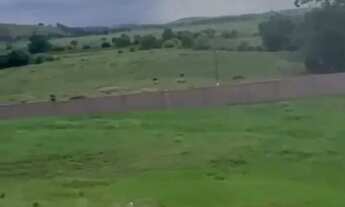 Imagem 4: Imóvel para venda possui 1150 m² em Santa Paula I - Vila Velha - ES