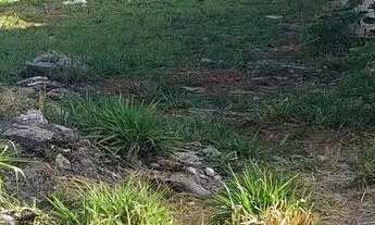 Imagem: Agio de lote No Recanto das Emas