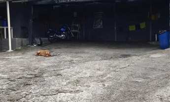 Imagem 3: Passo o ponto lava rápido