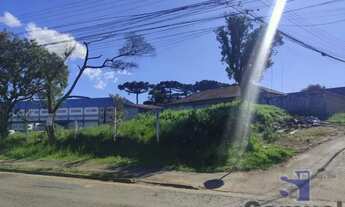 Imagem 7: ÁREA QUISSISSANA / COSTEIRA SÃO JOSÉ DOS PINHAIS