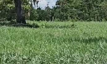 Imagem 2: Chacara em Ipora Go