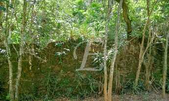 Imagem 2: Terreno à venda, 2400 m² por R$ 350.000,00 - Caraguatá - Mairiporã/SP