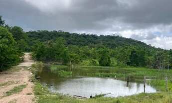 Imagem 2: Fazenda de oportunidade