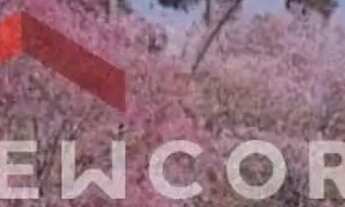 Imagem 7: Cobertura em Avenida Venâncio Aires - Farroupilha - Porto Alegre/RS