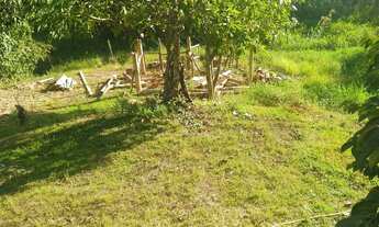 Imagem 7: Granja Condomínio Fazendinhas Valadares