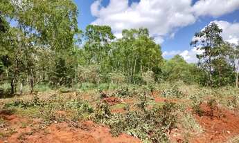 Imagem 7: Fazendinhas Planas 20.000m2 Água e Luz, Financiadas em Paraopeba MG