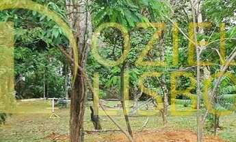 Imagem 4: CHÁCARA 25 HECTARES 25.000 ESCRITURADA 2 CASAS SEDE PISCINA CHURRASQUEIRA DF 180 PLANA 9