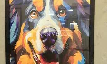 Imagem 4: Apartamento : / Residencial / Centro