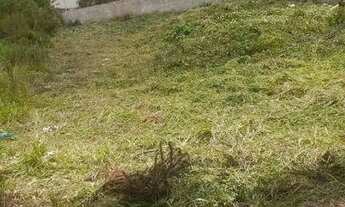 Imagem 2: Excelente terreno a venda no centro de Campo Magro