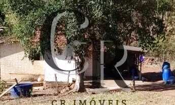 Imagem 4: Fazenda em Cezarina