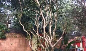 Imagem 7: Jardim Europa 16m de frente!