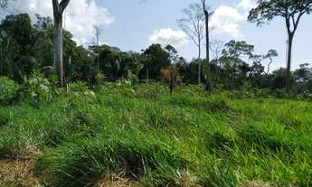 Imagem 5: Vendo colônia em Sena Madureira