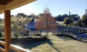 Imagem 7: Fazenda para criação de gado em Jaquirana/RS